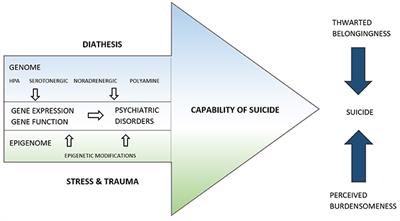 The Life Span Model of Suicide and Its Neurobiological Foundation